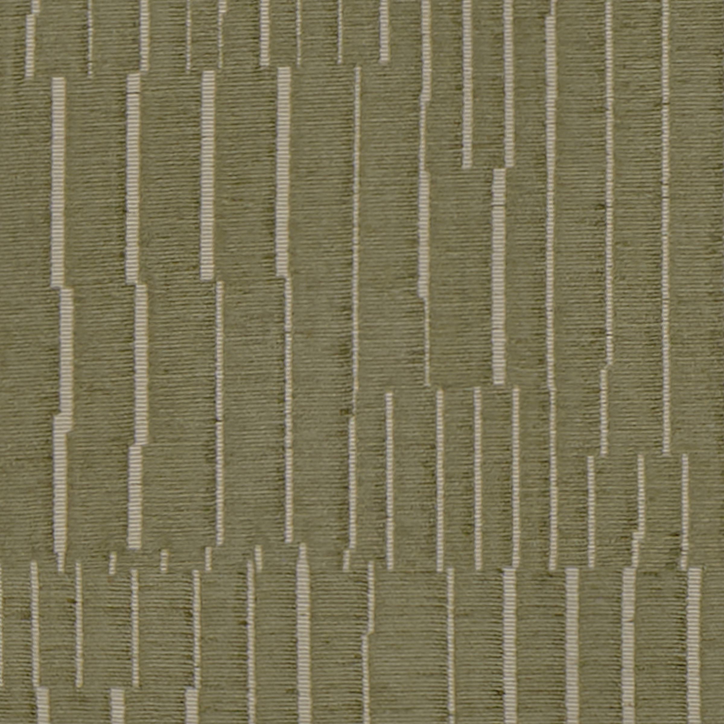 Clever_3578_003_Fern_A_LCrop_Opt