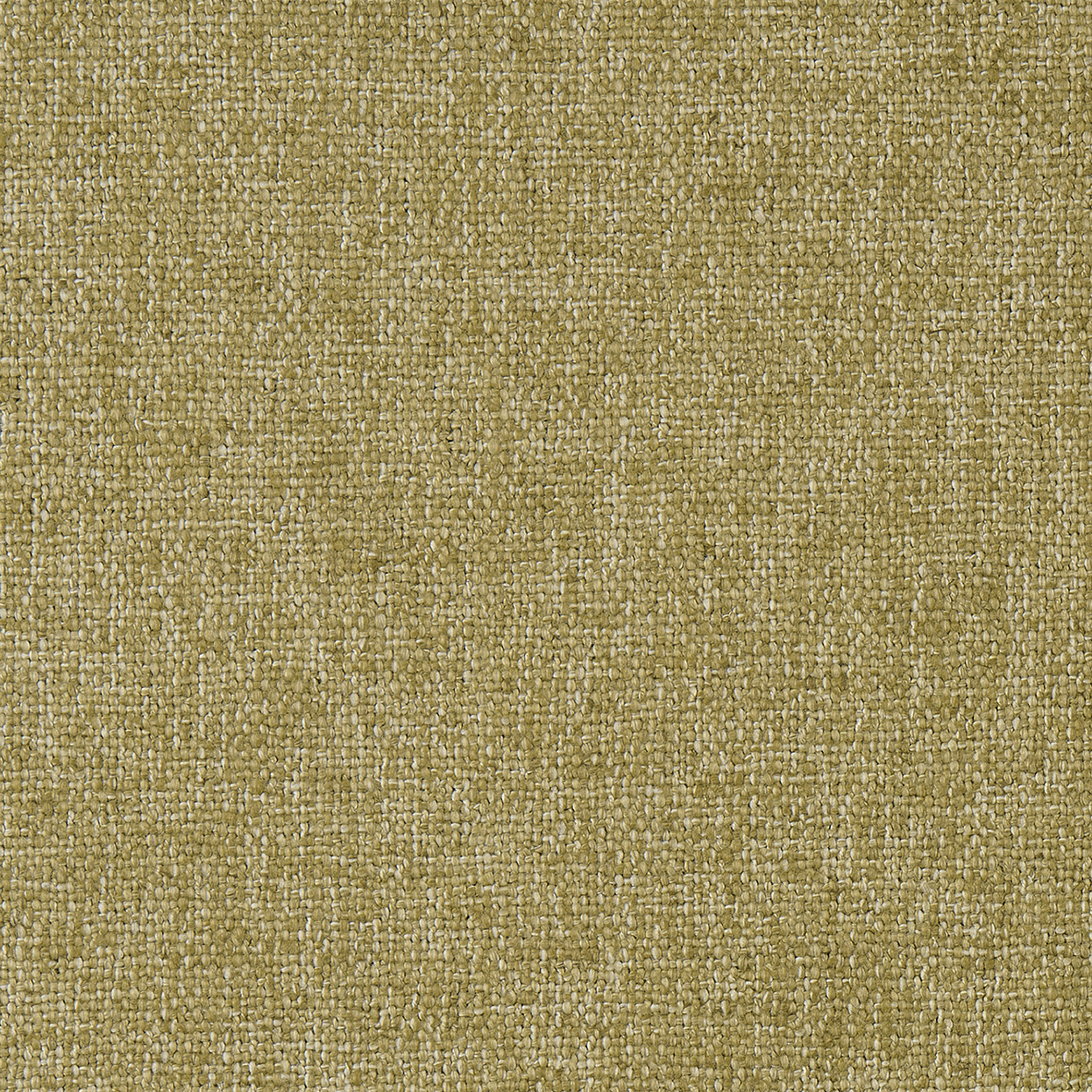 Gridlock_3584-003_Moss_B_LCrop_Opt