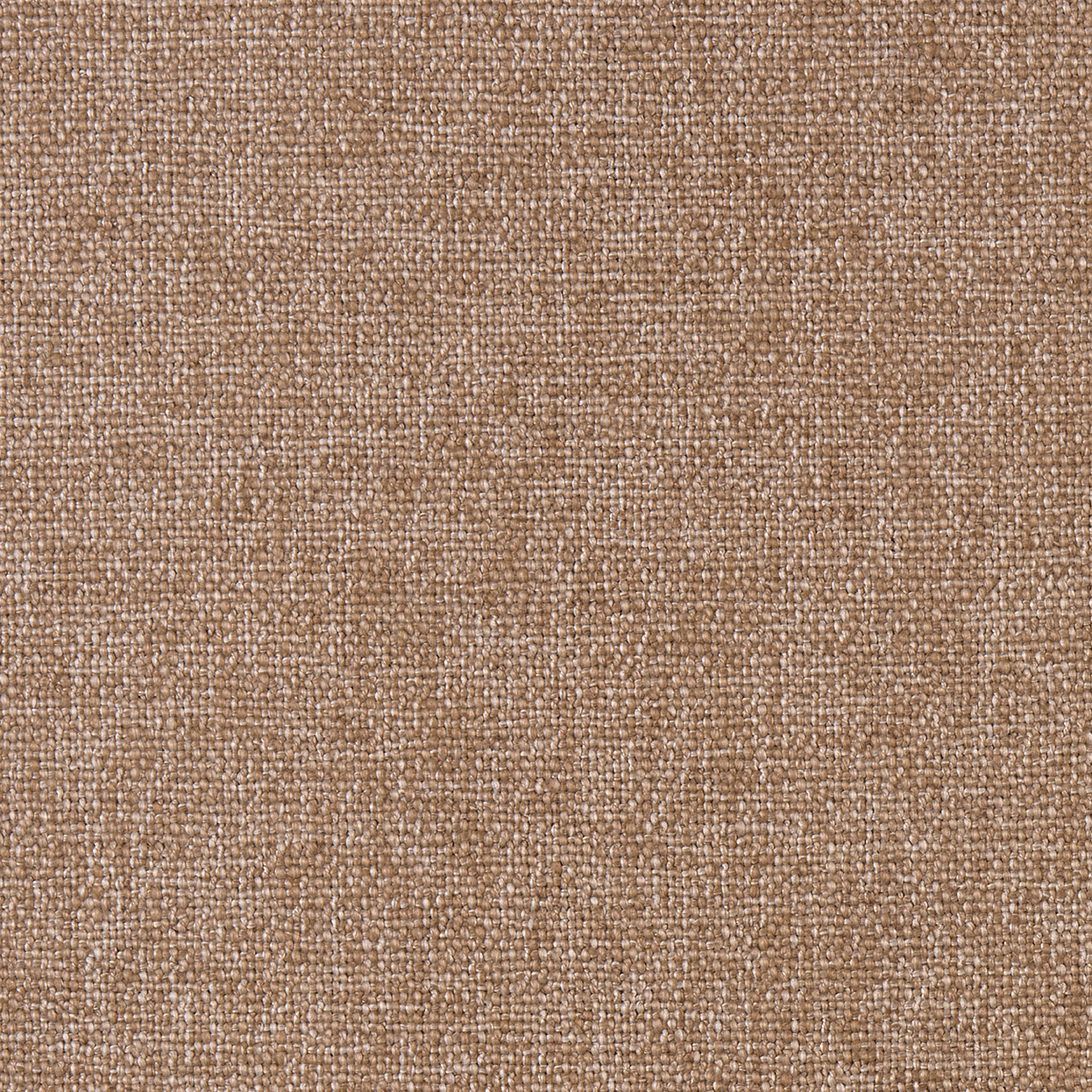 Gridlock_3584-022_Acorn_B_LCrop_Opt