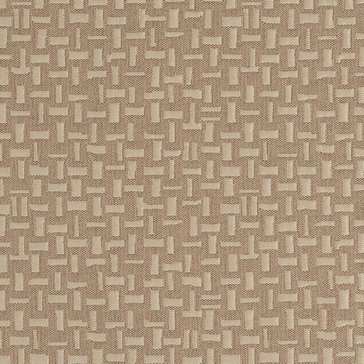 Matrix_3582-922_Acorn_B_CC_LCrop_Opt