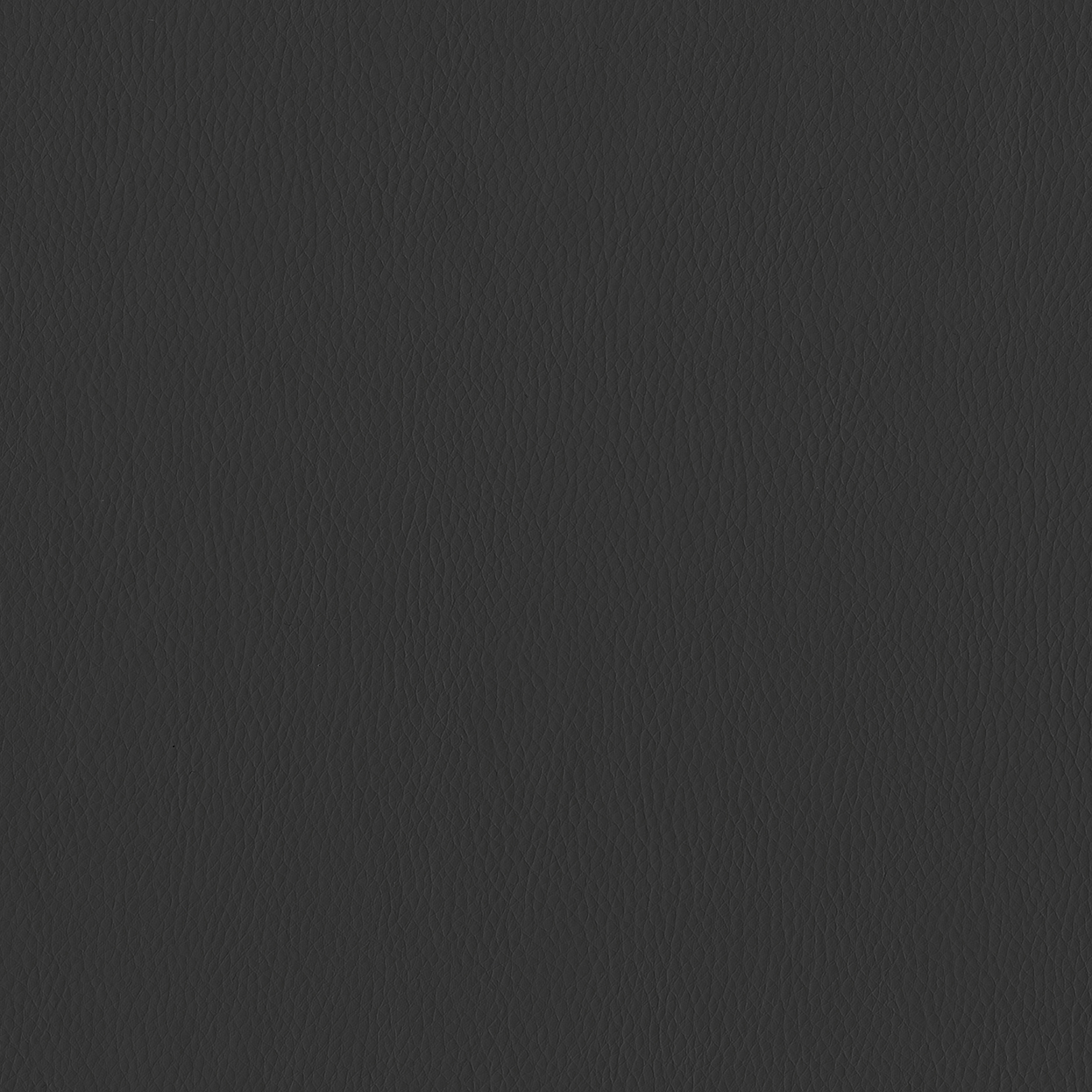 Aura_3842-001_Noir_SCAN_CC_LCrop_Opt