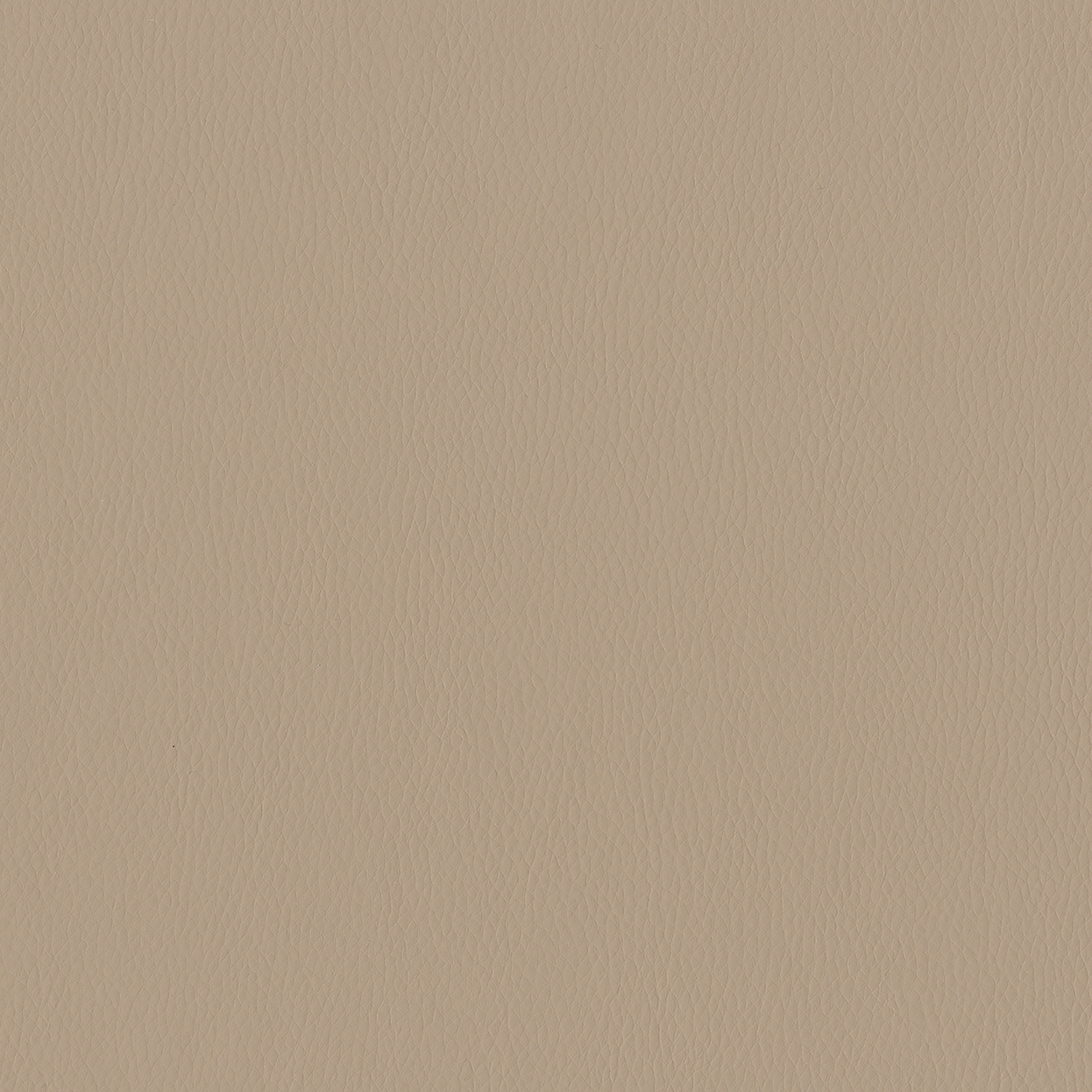 Aura_3842-002_Khaki_SCAN_CC_LCrop_Opt