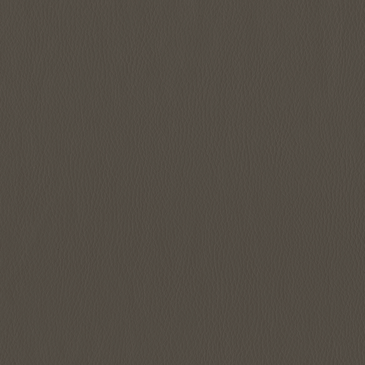 Aura_3842-011_Truffle_SCAN_CC_LCrop_Opt