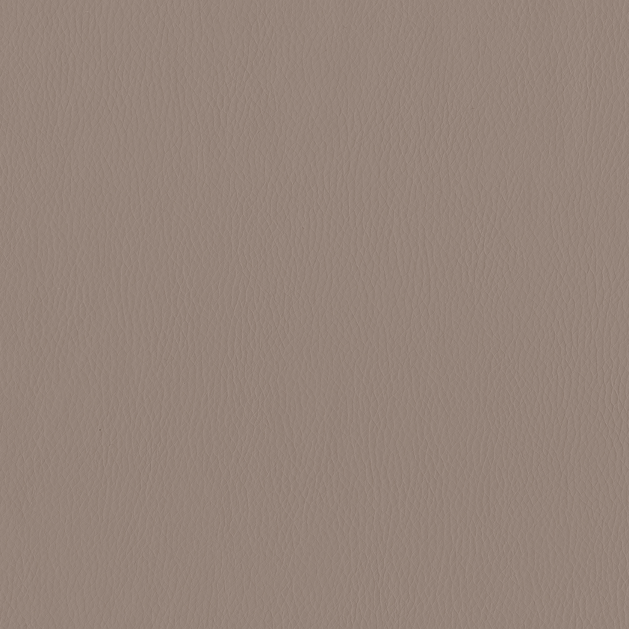 Aura_3842-020_Bark_SCAN_CC_LCrop_Opt