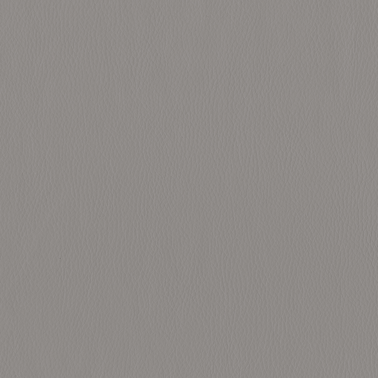 Aura_3842-101_Greyhound_SCAN_CC_LCrop_Opt